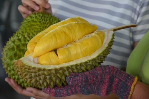 ทุเรียน